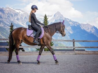 horse, girl, riding lessons