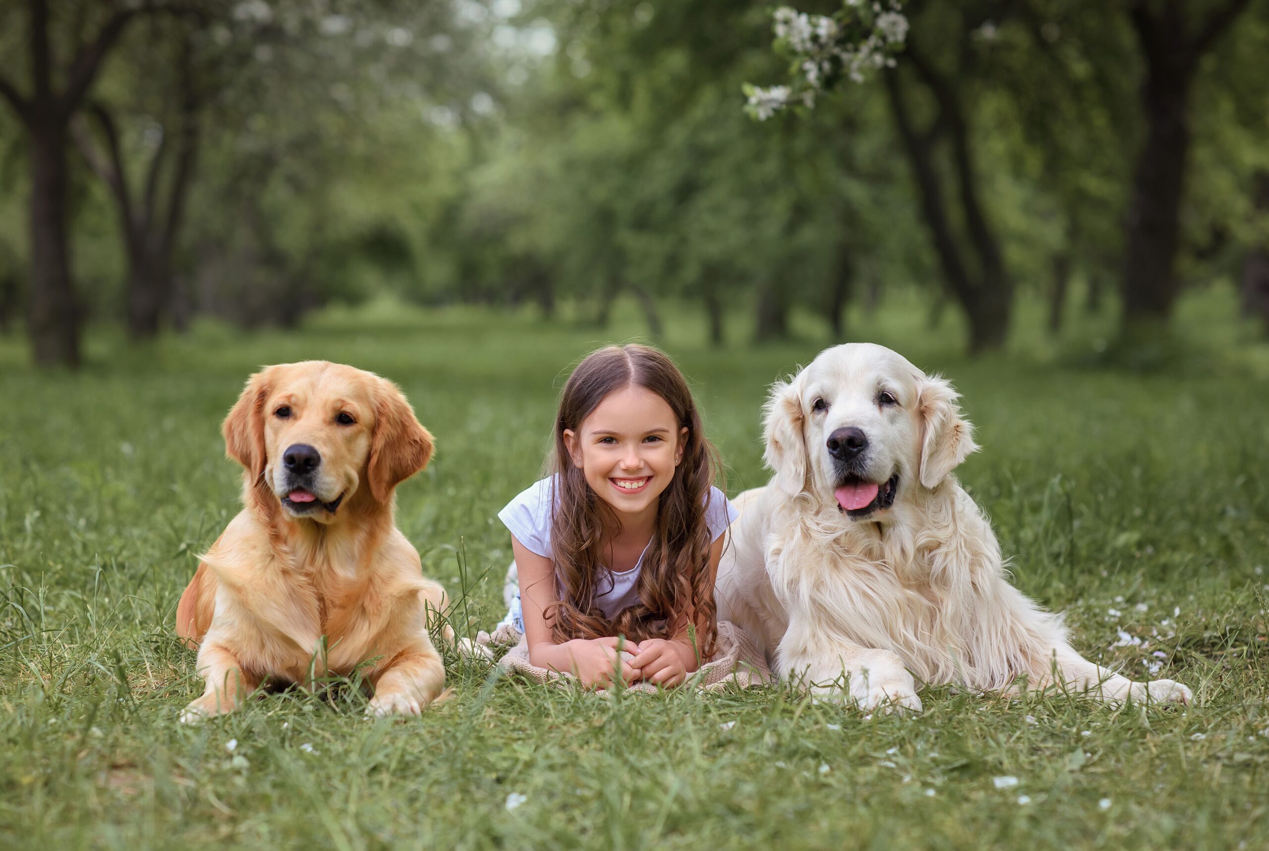 little-caucasian-girls-in-a-blooming-park-with-a-g-2024-12-07-14-37-53-utc (1)